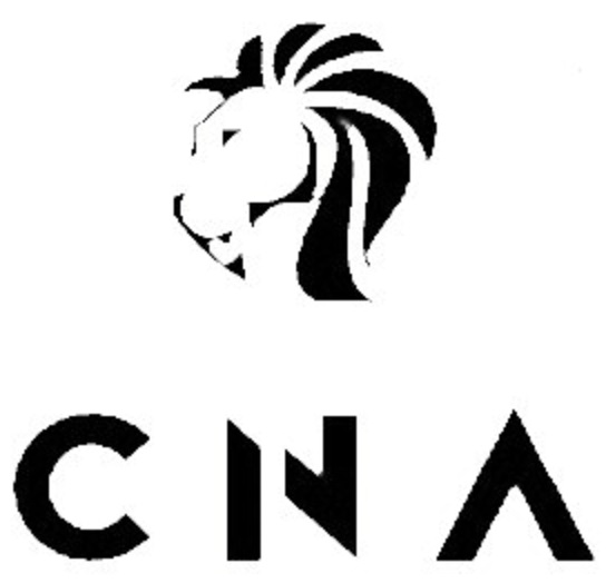 CNA BUSINESS & LAWYERS Orgulho de Servir Bons Negócios Sempre